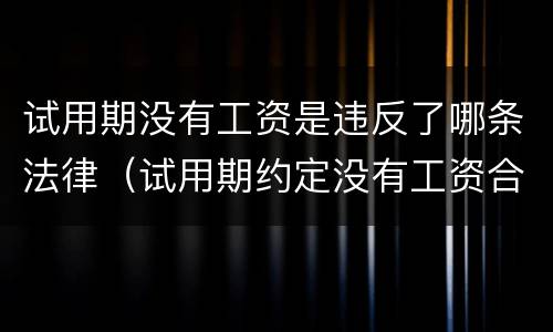 试用期没有工资是违反了哪条法律（试用期约定没有工资合法吗）
