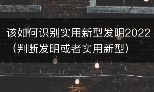 该如何识别实用新型发明2022（判断发明或者实用新型）