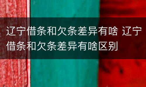 辽宁借条和欠条差异有啥 辽宁借条和欠条差异有啥区别