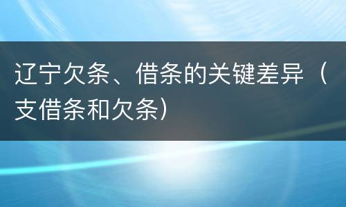 辽宁欠条、借条的关键差异（支借条和欠条）