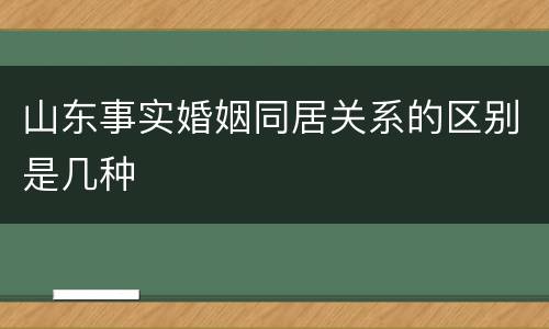 山东事实婚姻同居关系的区别是几种
