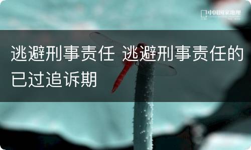 逃避刑事责任 逃避刑事责任的已过追诉期