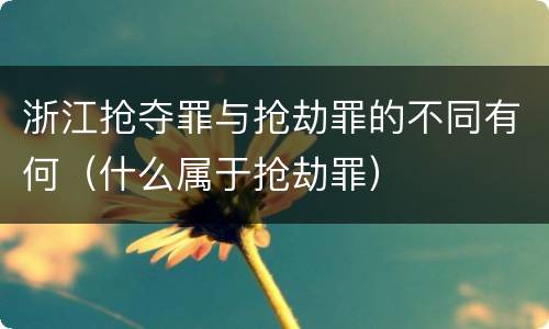 浙江抢夺罪与抢劫罪的不同有何（什么属于抢劫罪）