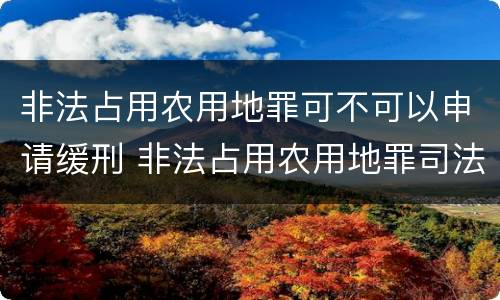 非法占用农用地罪可不可以申请缓刑 非法占用农用地罪司法建议