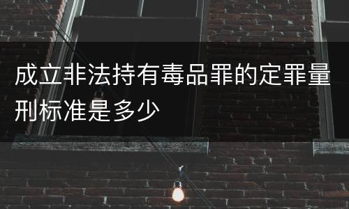 成立非法持有毒品罪的定罪量刑标准是多少