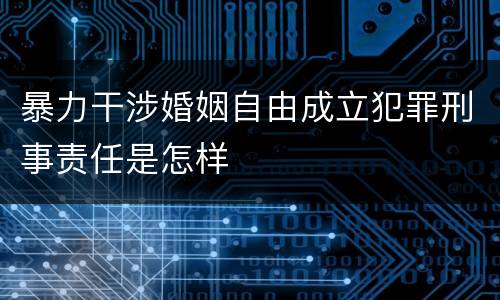 暴力干涉婚姻自由成立犯罪刑事责任是怎样