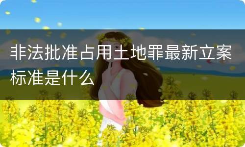 非法批准占用土地罪最新立案标准是什么