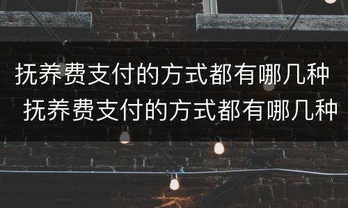 抚养费支付的方式都有哪几种 抚养费支付的方式都有哪几种情况