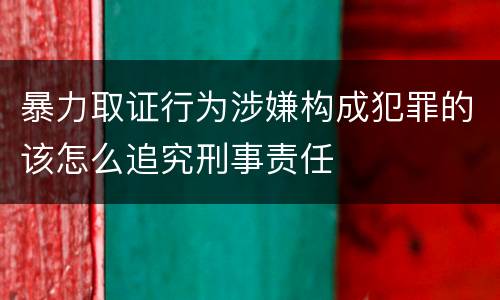 暴力取证行为涉嫌构成犯罪的该怎么追究刑事责任