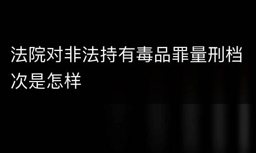 法院对非法持有毒品罪量刑档次是怎样