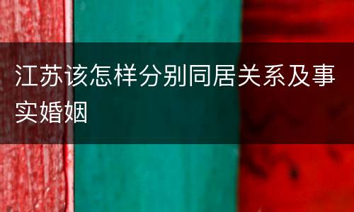 江苏该怎样分别同居关系及事实婚姻