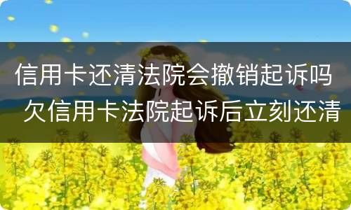 信用卡还清法院会撤销起诉吗 欠信用卡法院起诉后立刻还清可以吗
