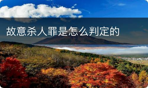 故意杀人罪是怎么判定的