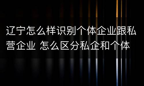 辽宁怎么样识别个体企业跟私营企业 怎么区分私企和个体