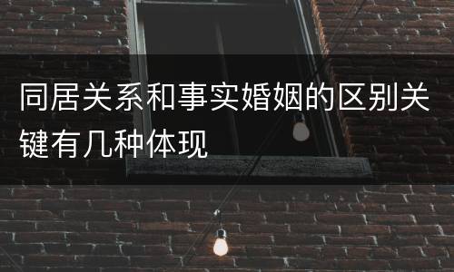 同居关系和事实婚姻的区别关键有几种体现