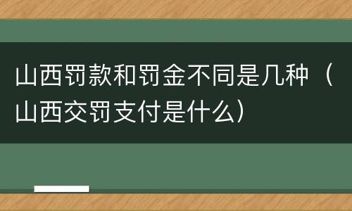 山西罚款和罚金不同是几种（山西交罚支付是什么）