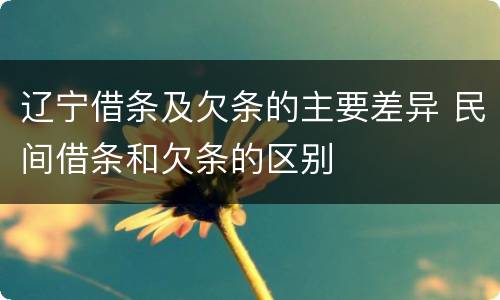辽宁借条及欠条的主要差异 民间借条和欠条的区别