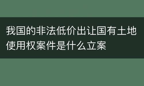 我国的非法低价出让国有土地使用权案件是什么立案