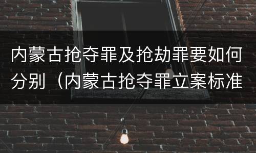 内蒙古抢夺罪及抢劫罪要如何分别（内蒙古抢夺罪立案标准）