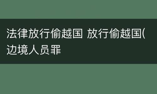 法律放行偷越国 放行偷越国(边境人员罪