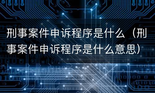 刑事案件申诉程序是什么（刑事案件申诉程序是什么意思）