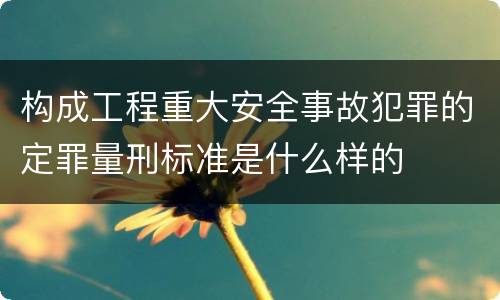 构成工程重大安全事故犯罪的定罪量刑标准是什么样的