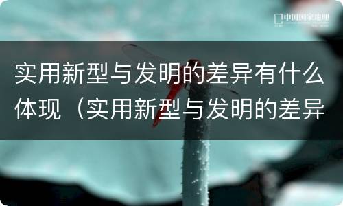 实用新型与发明的差异有什么体现（实用新型与发明的差异有什么体现和特点）