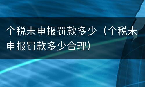 个税未申报罚款多少（个税未申报罚款多少合理）