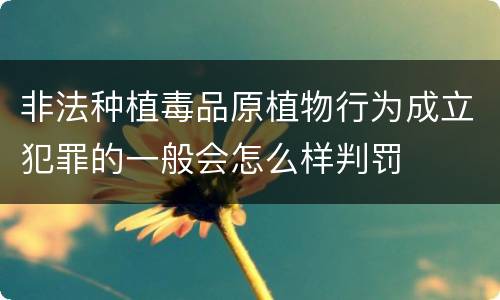 非法种植毒品原植物行为成立犯罪的一般会怎么样判罚