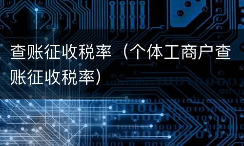 查账征收税率（个体工商户查账征收税率）