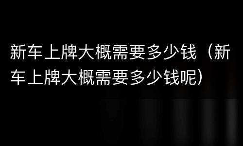 新车上牌大概需要多少钱（新车上牌大概需要多少钱呢）