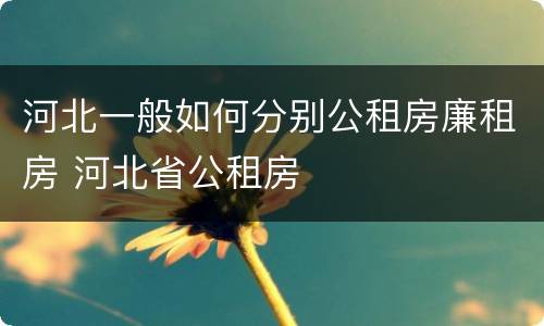 河北一般如何分别公租房廉租房 河北省公租房