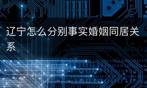 辽宁怎么分别事实婚姻同居关系