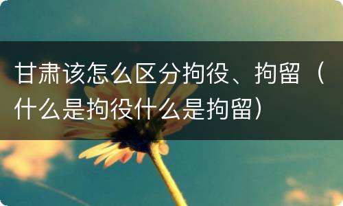 甘肃该怎么区分拘役、拘留（什么是拘役什么是拘留）