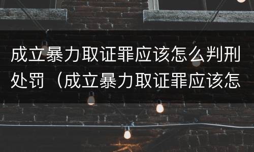 成立暴力取证罪应该怎么判刑处罚（成立暴力取证罪应该怎么判刑处罚呢）