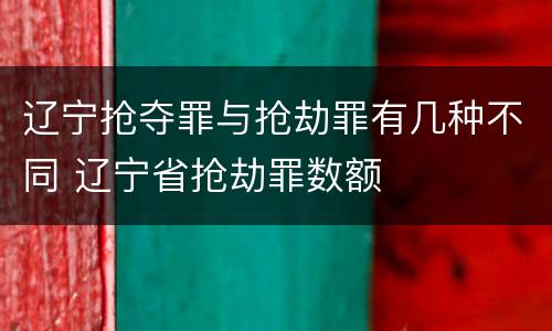 辽宁抢夺罪与抢劫罪有几种不同 辽宁省抢劫罪数额