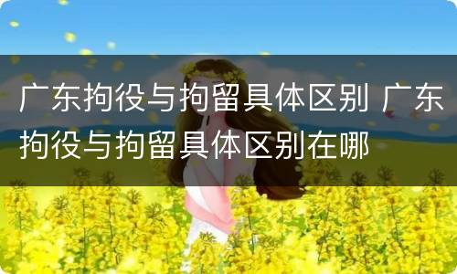 广东拘役与拘留具体区别 广东拘役与拘留具体区别在哪