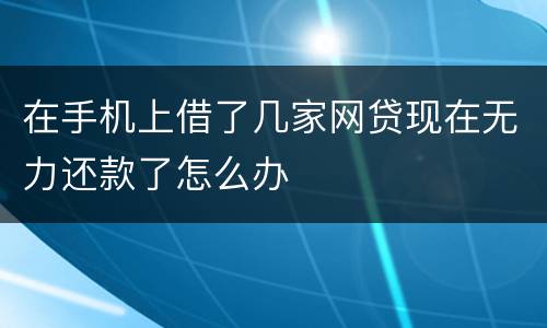 在手机上借了几家网贷现在无力还款了怎么办