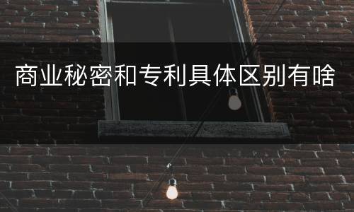 商业秘密和专利具体区别有啥