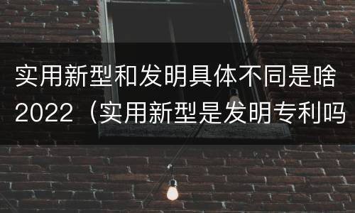 实用新型和发明具体不同是啥2022（实用新型是发明专利吗）
