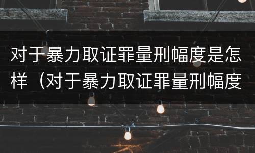 对于暴力取证罪量刑幅度是怎样（对于暴力取证罪量刑幅度是怎样规定的）