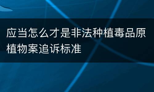 应当怎么才是非法种植毒品原植物案追诉标准