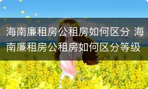 海南廉租房公租房如何区分 海南廉租房公租房如何区分等级