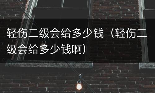 轻伤二级会给多少钱（轻伤二级会给多少钱啊）