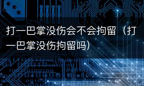 打一巴掌没伤会不会拘留（打一巴掌没伤拘留吗）