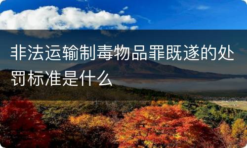 非法运输制毒物品罪既遂的处罚标准是什么