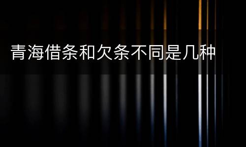 青海借条和欠条不同是几种