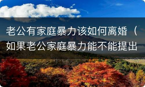 老公有家庭暴力该如何离婚（如果老公家庭暴力能不能提出离婚）