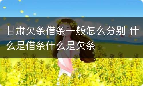 甘肃欠条借条一般怎么分别 什么是借条什么是欠条