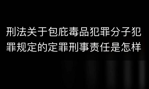 刑法关于包庇毒品犯罪分子犯罪规定的定罪刑事责任是怎样的